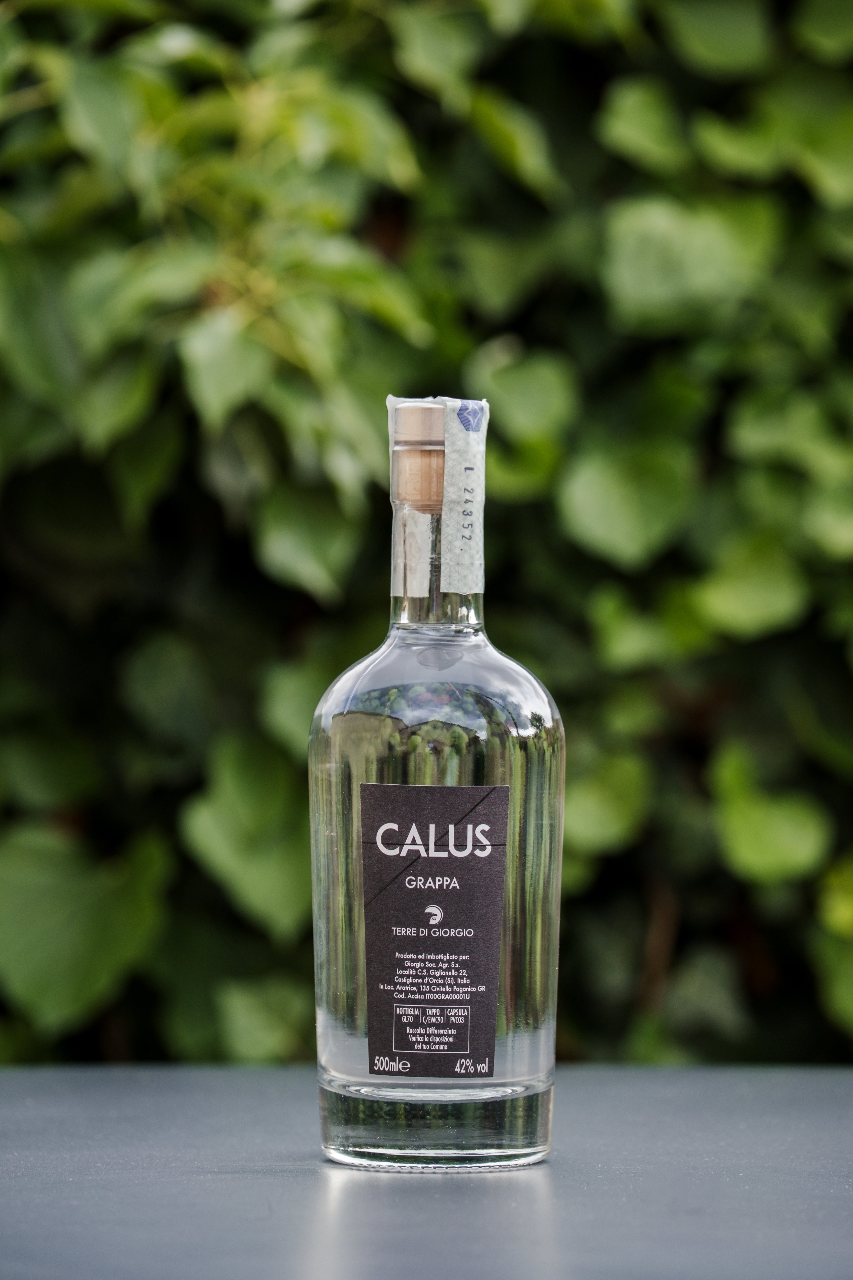 Grappa Calus